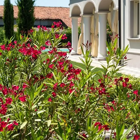 Apartment San Martino *