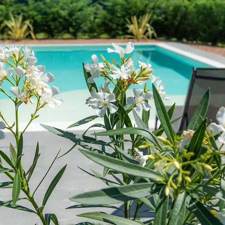 Appartement San Martino *